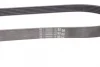 Ремінь генератора Citroen Jumper/Peugeot Boxer 2.0/2.2HDi 04- (-AC)/Opel Movano 2.5D CONTINENTAL Contitech 6PK873 ELAST (фото 3)
