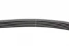 Ремінь генератора Toyota Auris/ Yaris 1.33 09-12/Audi 80/A6 1.9TDI 91-07/Nissan Maxima 2.0/3.0 95-00 Contitech 6PK890 (фото 2)