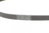 Ремінь генератора Citroen C4/C5 14-/Renault Kangoo/Clio 1.9D 97-/VW Passat B3/B4 88-97/Sharan 95-10 CONTINENTAL Contitech 6PK894 (фото 3)
