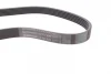 Ремінь генератора VW Caddy/Golf/Skoda Octavia 1.6/2.0 04-15/Fiat Ducato 2.5TDI 94-02/Scudo 1.6 96-06 CONTINENTAL Contitech 6PK900 (фото 2)