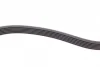 Ремінь генератора VW Caddy/Golf/Skoda Octavia 1.6/2.0 04-15/Fiat Ducato 2.5TDI 94-02/Scudo 1.6 96-06 CONTINENTAL Contitech 6PK900 (фото 3)