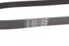 Ремінь генератора VW Golf III/IV/Bora/Skoda Octavia 1.9TDI/SDI 98-10/Mitsubishi Mirage 1.0/1.2 12- CONTINENTAL Contitech 6PK906 (фото 3)
