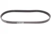 Ремінь генератора VW Golf III/IV/Bora/Skoda Octavia 1.9TDI/SDI 98-10/Mitsubishi Mirage 1.0/1.2 12- CONTINENTAL Contitech 6PK906 (фото 5)