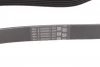 Ремінь генератора VW T4/Caddy 1.9D/TD 90-03/Toyota Corolla/Auris 1.4D 06-14/Kia Rio 1.25 17- CONTINENTAL Contitech 6PK923 (фото 3)