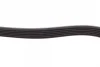 Ремінь генератора VW T4/Caddy 1.9D/TD 90-03/Toyota Corolla/Auris 1.4D 06-14/Kia Rio 1.25 17- CONTINENTAL Contitech 6PK923 (фото 4)