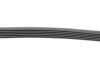 Ремінь генератора VW Golf/Skoda Octavia 2.0i 04-13/Mazda 2/3 1.5 13-/Kia Ceed/Cerato 1.4/1.6 07- CONTINENTAL Contitech 6PK955 (фото 3)