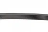 Ремінь генератора Mazda 6 2.5 13-/Toyota Corolla 1.4 D 04-14 CONTINENTAL Contitech 6PK970 (фото 3)
