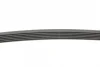 Ремінь генератора Peugeot Partner/307/508 02-/Citroen Berlingo/C2/C3/C4/C5 1.6 HDi 04- CONTINENTAL Contitech 6PK976 (фото 2)