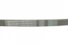 Ремінь генератора Peugeot Partner/307/508 02-/Citroen Berlingo/C2/C3/C4/C5 1.6 HDi 04- CONTINENTAL Contitech 6PK976 (фото 3)