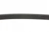 Ремінь генератора BMW 1 (F20/F21)/3 (F30/F80) 1.6i N13 11-16/Honda Civic/FR-V 1.7i 01-06/Fiat 1.7D Contitech 6PK986 (фото 2)