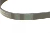 Ремінь генератора BMW 1 (F20/F21)/3 (F30/F80) 1.6i N13 11-16/Honda Civic/FR-V 1.7i 01-06/Fiat 1.7D Contitech 6PK986 (фото 3)