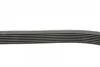 Ремінь генератора Renault Megane/Scenic 1.9dCi/2.0 03-/Nissan Juke 1.6 10- CONTINENTAL Contitech 7PK1125 (фото 2)