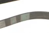 Ремінь генератора Renault Megane/Scenic 1.9dCi/2.0 03-/Nissan Juke 1.6 10- CONTINENTAL Contitech 7PK1125 (фото 3)