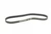 Ремінь генератора Renault Megane/Scenic 1.9dCi/2.0 03-/Nissan Juke 1.6 10- CONTINENTAL Contitech 7PK1125 (фото 5)