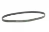 Ремінь генератора Renault Master/Opel Movano 2.2/2.5DCI 01-/Nissan Micra/Note/Tiida 1.6 05- CONTINENTAL Contitech 7PK1145 (фото 4)