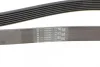 Поліклиновий ремінь (7PK1370) BMW 7 (F01, F02, F03, F04), X5 (E70) TOYOTA AURIS, AVENSIS, COROLLA, RAV 4 III, RAV 4 IV, VERSO 2.0D-4.4H 11.05-09.19 Contitech 7 PK 1370 (фото 3)