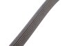 Фото 3 - ремінь генератора Honda Accord VII 2.0 03-08/Suzuki Grand Vitara 1.9DDiS 05-15 CONTINENTAL Contitech 7PK1388 Ремінь генератора Honda Accord VII 2.0 03-08/Suzuki Grand Vitara 1.9DDiS 05-15 CONTINENTAL Contitech 7PK1388 (фото 3)