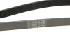 Ремінь генератора Renault Kangoo/Megane III/Scenic III 1.2TCe 12- CONTINENTAL Contitech 7PK1440 (фото 4)
