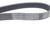Фото 3 - ремень генератора поликлиновый CONTINENTAL Contitech 7PK1516 Ремень генератора поликлиновый CONTINENTAL Contitech 7PK1516 (фото 3)