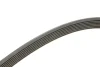 Поліклиновий ремінь (7PK1538) HONDA ACCORD VIII, CIVIC VIII, CR-V III 1.6-2.0 09.05-06.15 Contitech 7 PK 1538 (фото 3)