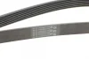 Ремінь генератора Toyota Camry 3.5 V6 11-17/ Lexus GS/ IS/ ES 2.5-3.5 05- CONTINENTAL Contitech 7PK1549 (фото 3)