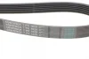 Ремінь генератора BMW 5 (E39/G30/F90)/7 (E38/F01/F02/F03/F04) 3.5-6.0 96- CONTINENTAL Contitech 7PK1629 (фото 3)