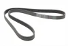 Ремінь генератора BMW 5 (E39/G30/F90)/7 (E38/F01/F02/F03/F04) 3.5-6.0 96- CONTINENTAL Contitech 7PK1629 (фото 4)