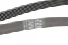 Ремінь генератора BMW 5 (E39/F10)/7 (E38) 3.5i/4.0i 96-03 CONTINENTAL Contitech 7PK1635 (фото 3)