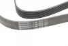Ремінь генератора BMW 5 (E39/F10)/7 (E38) 3.5i/4.0i 96-03 CONTINENTAL Contitech 7PK1635 (фото 4)