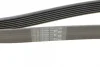 Ремінь генератора Nissan Terrano/Patrol 3.0 DTi 00-/Honda Accord/Civic 2.0/2.2 01- CONTINENTAL Contitech 7PK1642 (фото 4)