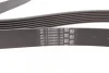Ремінь генератора BMW X5 (E70) 4.8i 07-08/Renault Master/Opel Movano 2.3 dCi/CDTI 10- CONTINENTAL Contitech 7PK1666 (фото 2)
