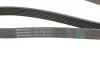 Ремінь генератора Honda CR-V 2.0 01-06 CONTINENTAL Contitech 7PK1730 (фото 3)