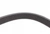 Ремінь генератора BMW 7 (E65/E66/E67) 4.0/4.5D 02-08/Honda Accord 2.0 03-08 CONTINENTAL Contitech 7PK1760 (фото 3)