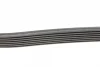 Ремінь генератора Toyota Camry/Avensis/RAV4 2.0/2.4 00-/Land Cruiser Prado 3.0D 00- CONTINENTAL Contitech 7PK1933 (фото 2)