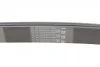 Ремінь генератора Toyota Camry/Avensis/RAV4 2.0/2.4 00-/Land Cruiser Prado 3.0D 00- CONTINENTAL Contitech 7PK1933 (фото 3)