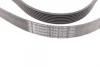 Ремінь генератора Land Rover Range Rover/Toyota Land Cruiser 120 4.0i/4.6 94-10 CONTINENTAL Contitech 7PK2120 (фото 2)