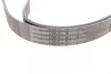 Ремінь генератора Kia Sorento 2.5 CRDI 06-/Land Rover Discovery/Range Rover 88-04 CONTINENTAL Contitech 7PK2255 (фото 3)