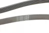 Ремінь генератора Hyundai H-1/Starex/Kia Sorento 2.5 CRDI 01-/MB S-class (W220) 4.0CDI 00-05 CONTINENTAL Contitech 7PK2283 (фото 3)