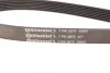Поліклиновий ремінь (7PK2875) FORD TRANSIT 2.4D 01.00-08.14 Contitech 7 PK 2875 (фото 3)