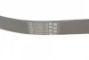 Ремінь генератора Mazda 3/5/6 2.0 DI/CD 02-10 CONTINENTAL Contitech 8PK1226 (фото 3)