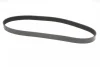 Ремінь генератора Mazda 3/5/6 2.0 DI/CD 02-10 CONTINENTAL Contitech 8PK1226 (фото 5)