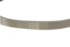Ремінь генератора Mazda 3/6 2.2D 10-13 Contitech 8PK1310 EXTRA (фото 3)