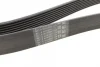 Поліклиновий ремінь (8PK1786) BMW 5 (F10), 5 (F11), 7 (F01, F02, F03, F04), X3 (F25) 2.5/3.0 06.09-06.15 Contitech 8 PK 1786 (фото 2)