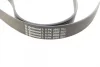 Ремінь генератора Land Rover Range Rover Sport 05-13/Discovery 2.7D 04- CONTINENTAL Contitech 8PK2092 (фото 3)