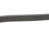 Поліклиновий ремінь (8PK2440) MERCEDES S (W140) CLAAS ARES 3.2 03.91- Contitech 8 PK 2440 (фото 2)