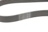 Ремінь генератора BMW X1 (F48)/X2 (F39) 1.5 hybrid 20- B38 (8PK954) CONTINENTAL Contitech 8PK954 EXTRA (фото 3)