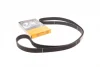 Ремінь ГРМ Subaru Forester/Impreza/Legacy 1.5/2.0/2.5i 92- (30x281z) CONTINENTAL Contitech CT1058 (фото 1)