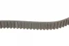 Ремінь ГРМ AUDI A1, A3, A4 B6, A4 B7, A6 C6, TT SEAT ALTEA, ALTEA XL, EXEO, EXEO ST, LEON, TOLEDO III SKODA OCTAVIA II VW EOS, GOLF PLUS V, GOLF V, GOLF VI, JETTA III, PASSAT B6 2.0 07.02-11.17 Contitech CT 1088 (фото 2)