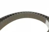 Комплект ГРМ (ремінь + ролик + водяний насос) AUDI A1 SEAT IBIZA IV, IBIZA IV SC, IBIZA IV ST, TOLEDO IV SKODA FABIA III, RAPID VW POLO V 1.4D 02.14-12.22 Contitech CT 1168 WP7 (фото 3)