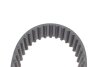 Комплект ГРМ + помпа Audi A3/A4/A5/A6/Q3/VW Caddy/T6 2.0TDI 15-/Golf VII 1.6TDI/2.0TDI 12- (25x145z) CONTINENTAL Contitech CT1168WP9 (фото 4)